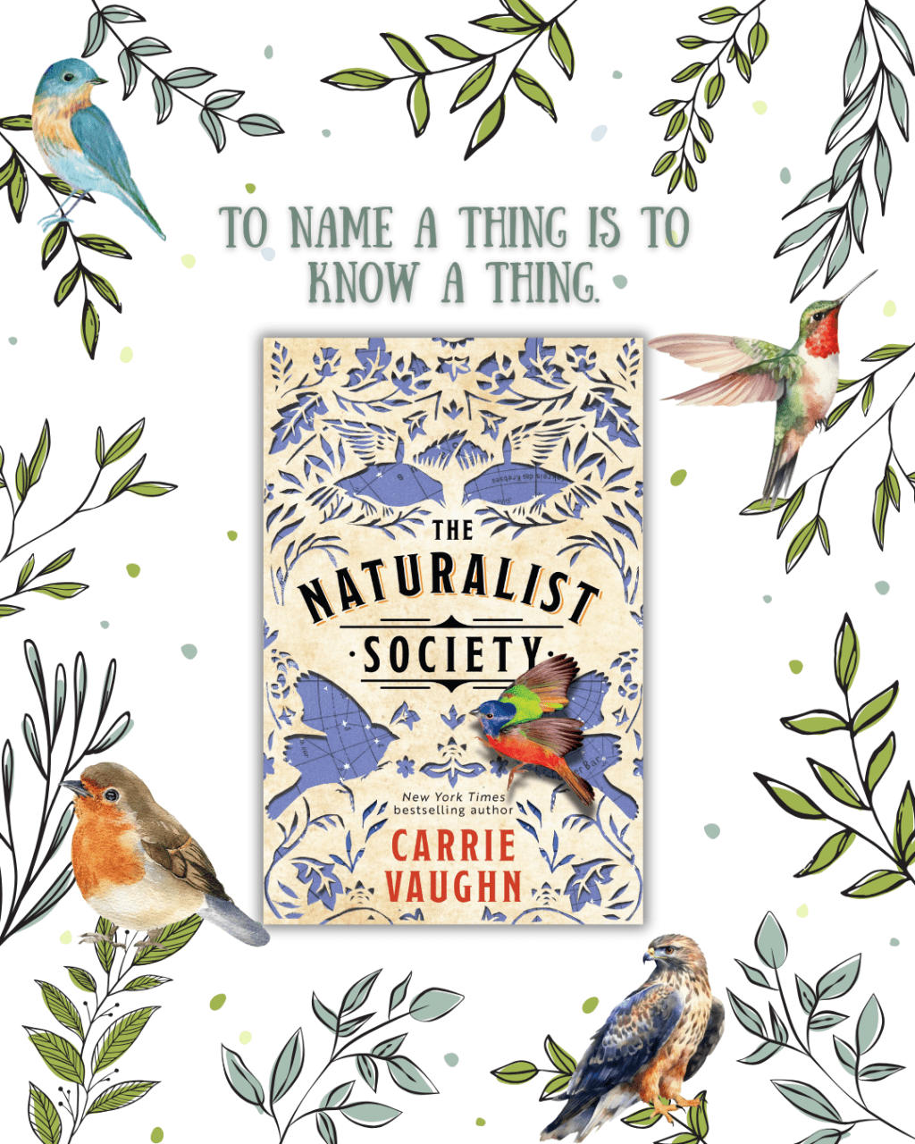 The Power of a&nbsp;Name