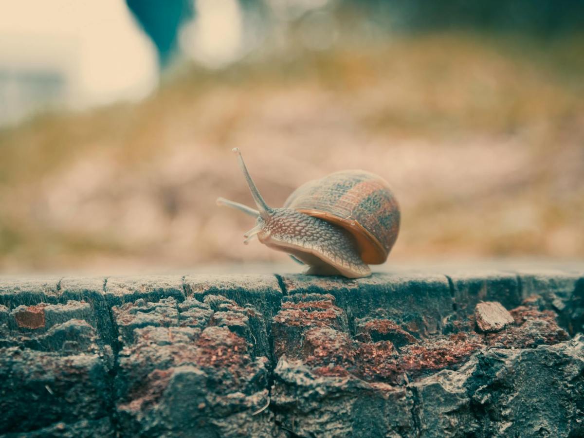 A Year of&nbsp;Less?